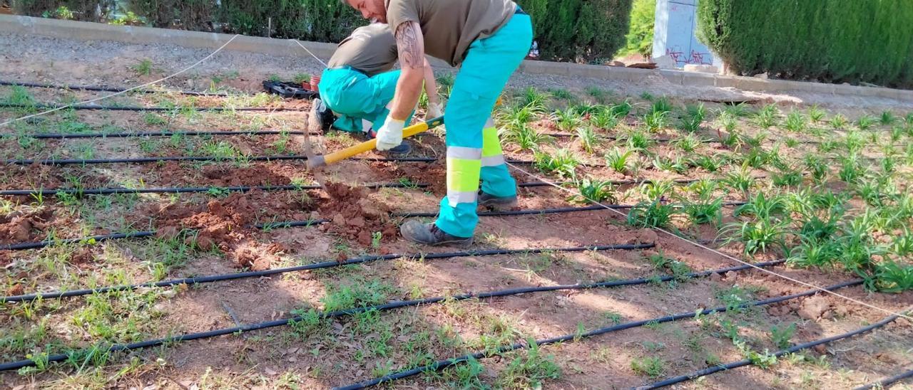 Trabajo de rehabilitación del talud.