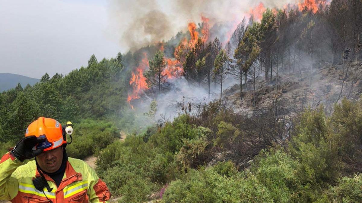 Un bombero en el incendio de Alguerdo. | SEPA | ARACELI SAAVEDRA