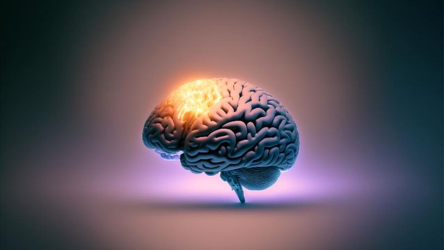 Día 20: Cerebro y corazón