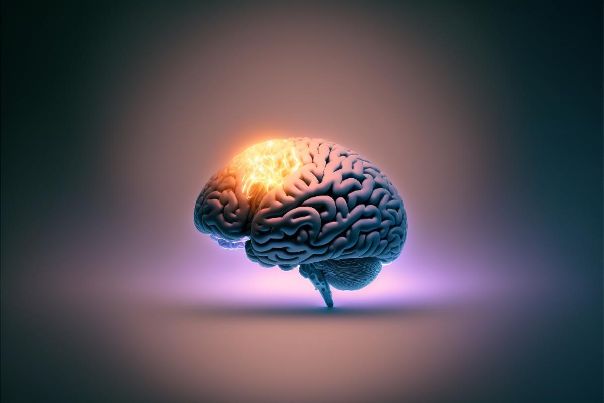 Ilustración de un cerebro