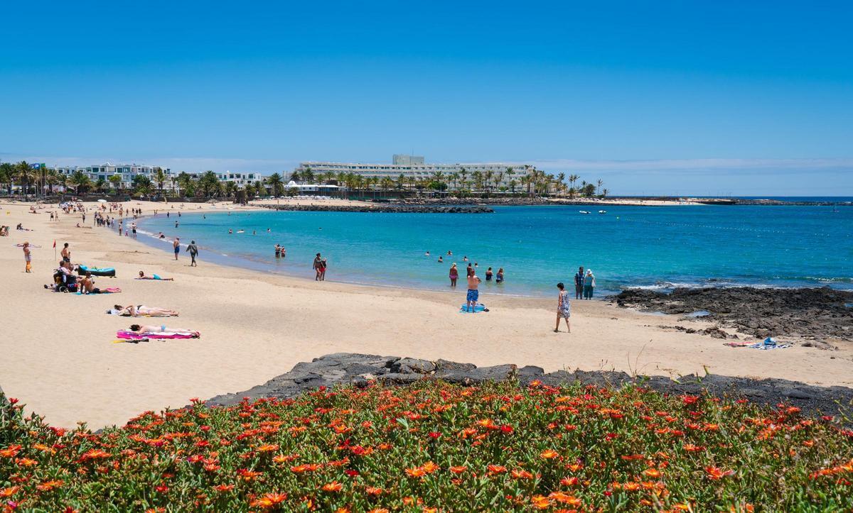 Playa con flores - Playa de Las Cucharas, Costa Teguise.