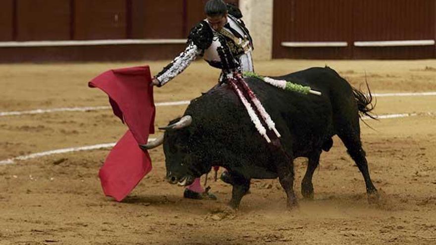 Controles antidopaje para toreros y corridas sin sangre en Balears