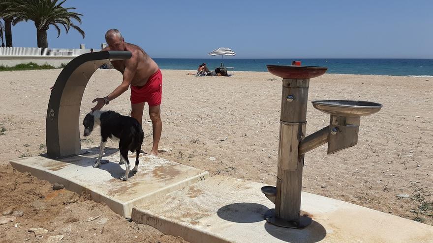 Este municipio de Castellón instala una ducha para perros en la playa