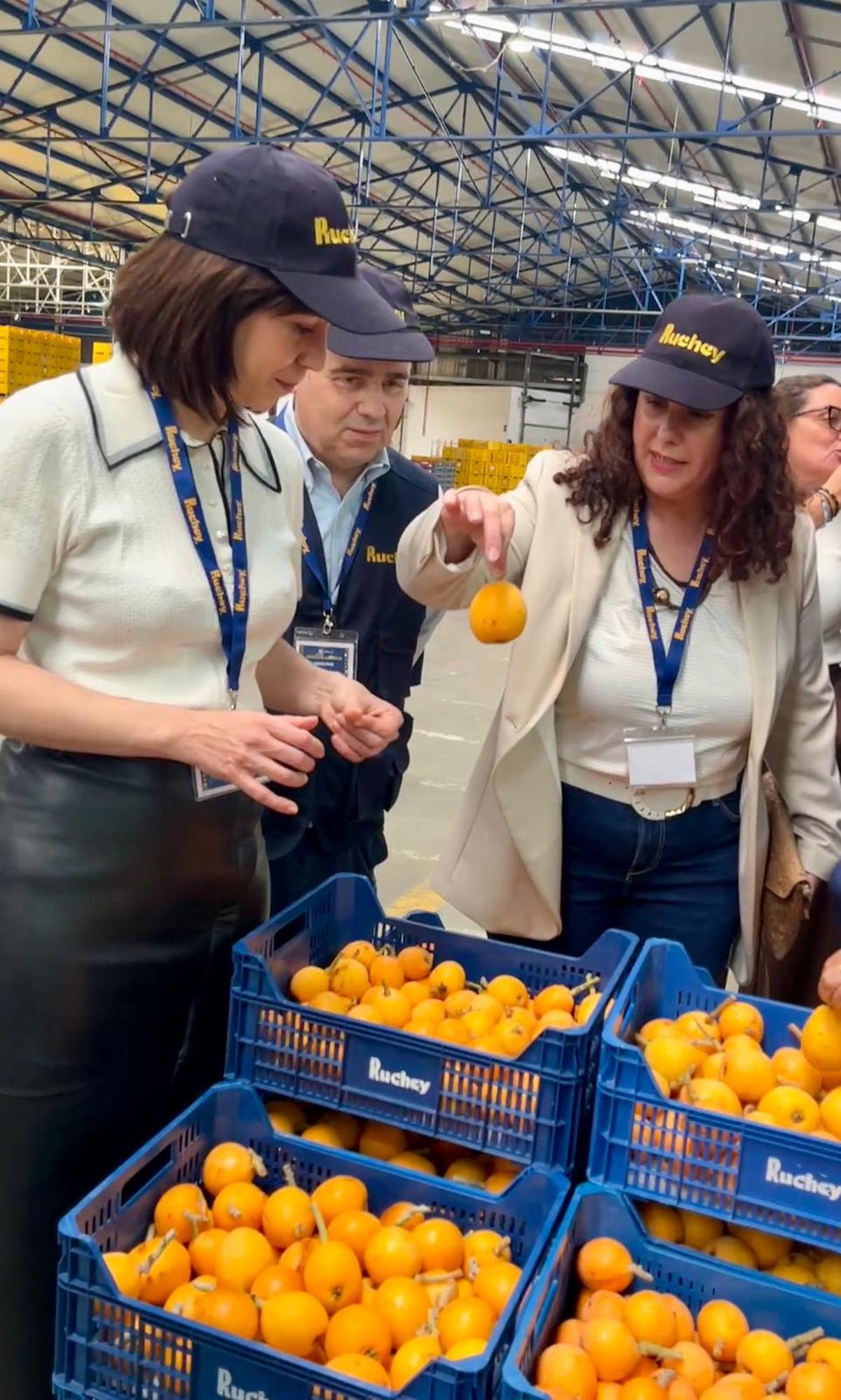 Diana Morant durante su visita a la cooperativa.