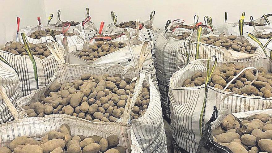 Almacén de patatas en Xinzo de Limia