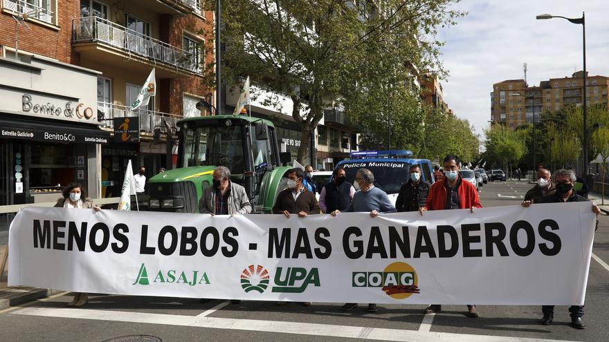VIDEO Y GALERÍA | Así ha sido la movilización de los ganaderos de Zamora contra la “sobreprotección” del lobo
