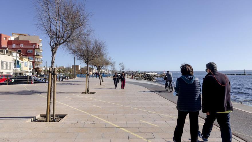 Los tamariscos del paseo marítimo del Molinar serán sustituidos por palmeras