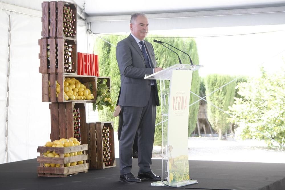 Presentación de 'Verna', la nueva cerveza de Estrella Levante