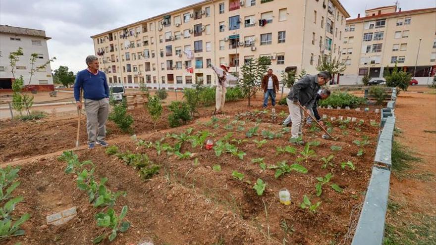 La autorización para el uso de los huertos urbanos será de 3 años