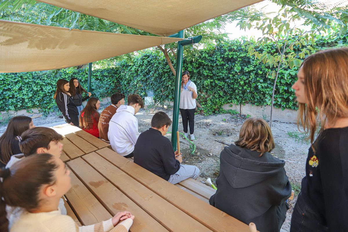 Un instituto «eco friendly» en Elche