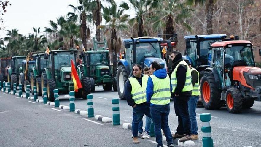 Los agricultores alicantinos preparan una tractorada por la autovía A-7 el 16 de febrero