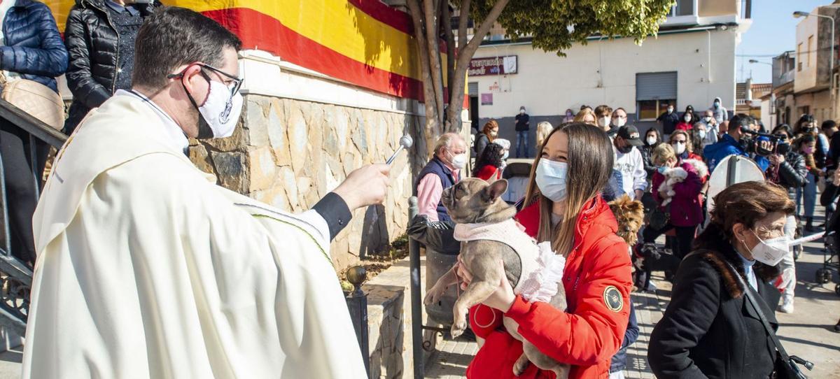 Los animales, bendecidos en San Antón | IVÁN URQUÍZAR
