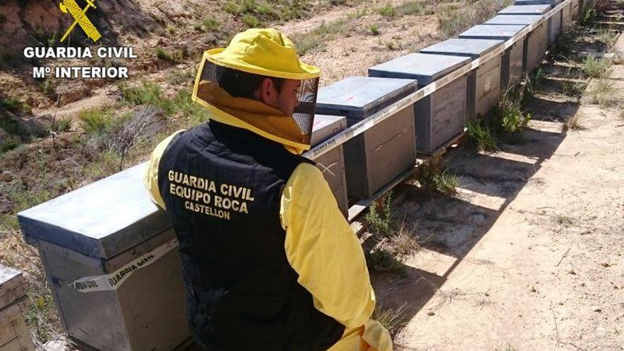 Detenido por hurtar 130 colmenas en les Coves por valor de 30.000 €