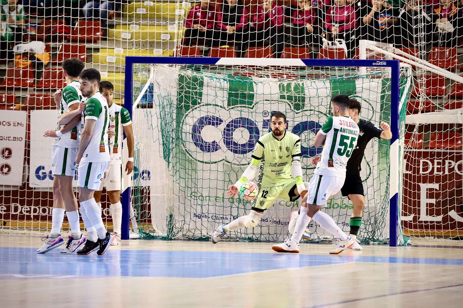 Córdoba Futsal-Real Betis: las imágenes del partido en Vista Alegre