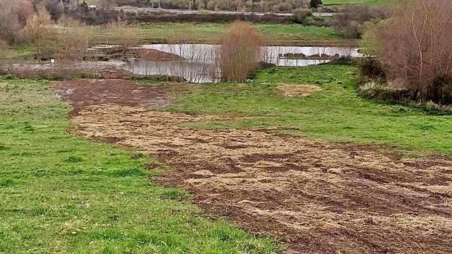 La laguna con la isleta, el pasado mes de febrero.