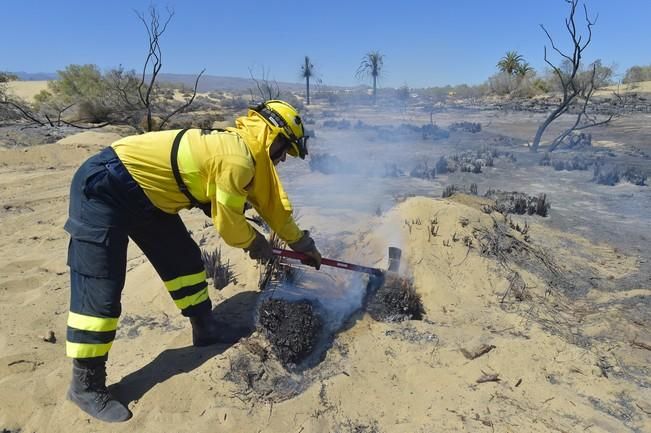 Incendio en la zona de las dunas de Maspalomas