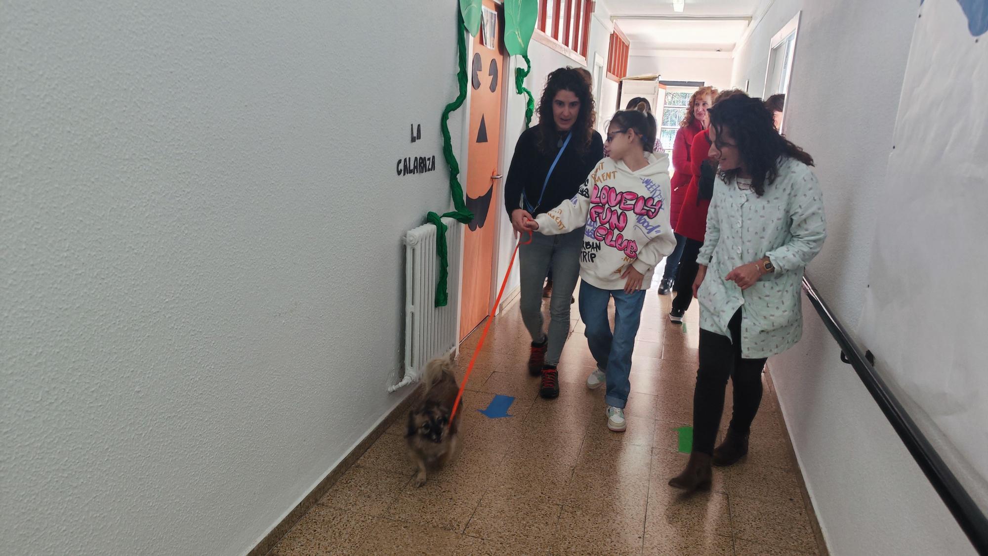 La terapia canina en Santullano, en imágenes