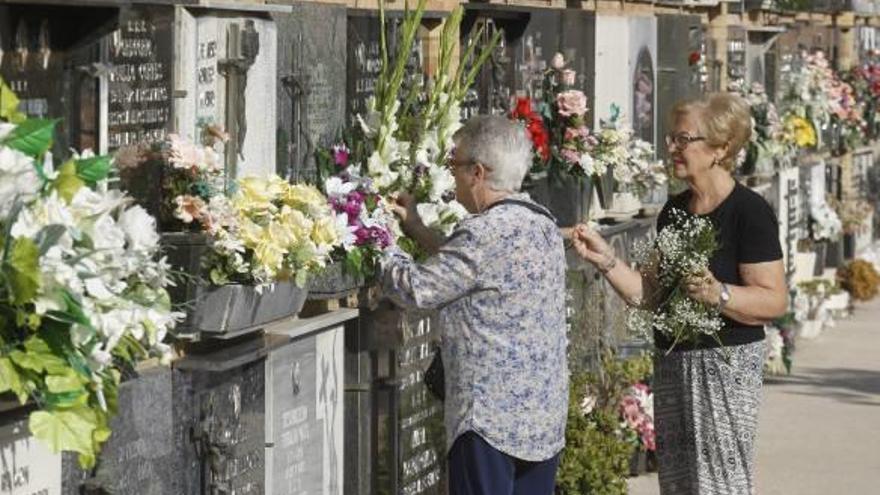 Miles de flores para los difuntos