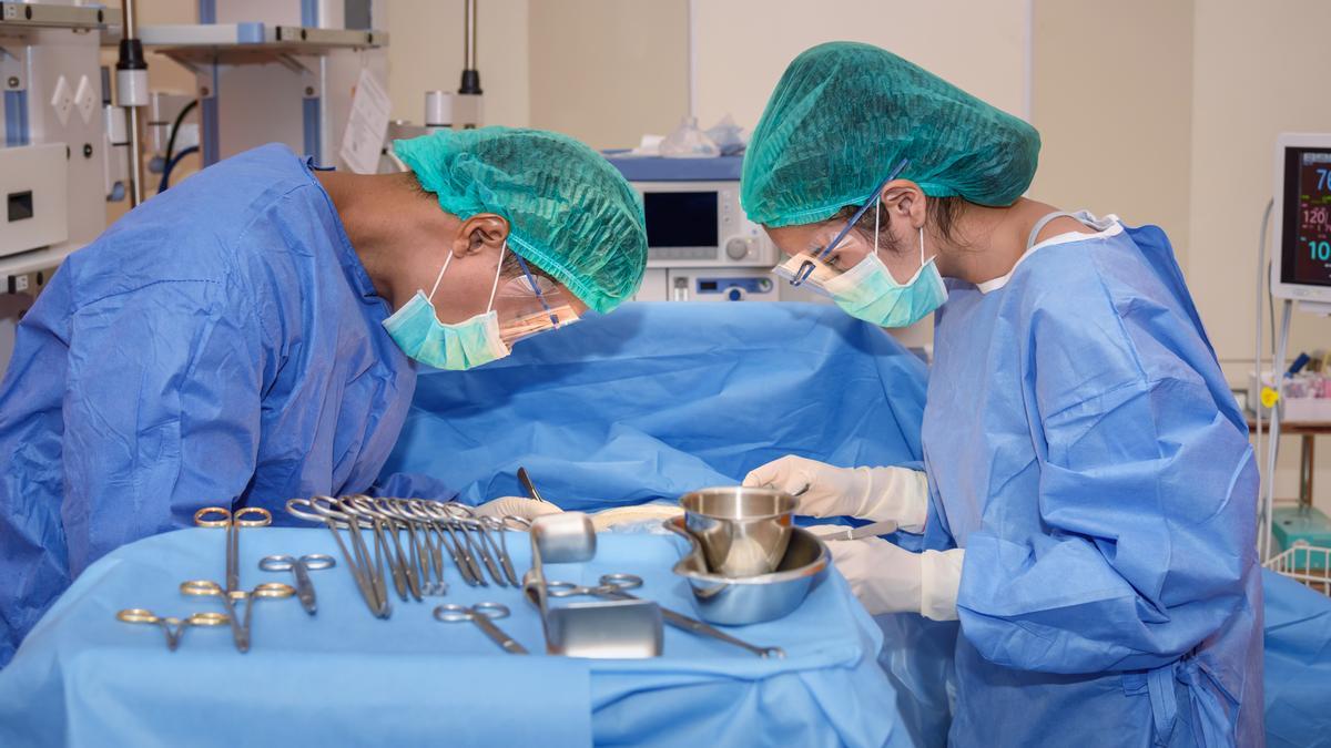 En menos de una década el trasplante de órganos  de laboratorio será una  realidad.