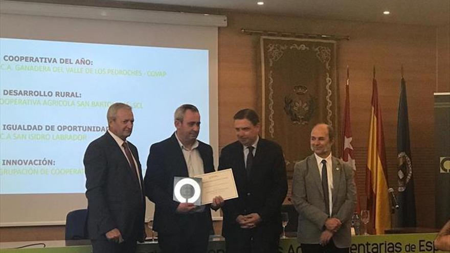 Un proyecto de ahorro del agua en el Jerte recibió un premio a la innovación