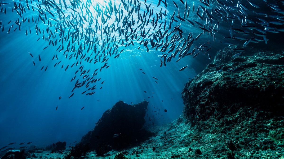 En el fondo de los oceanos se ha hayando una montaña que le hace sobrea la Olimpo