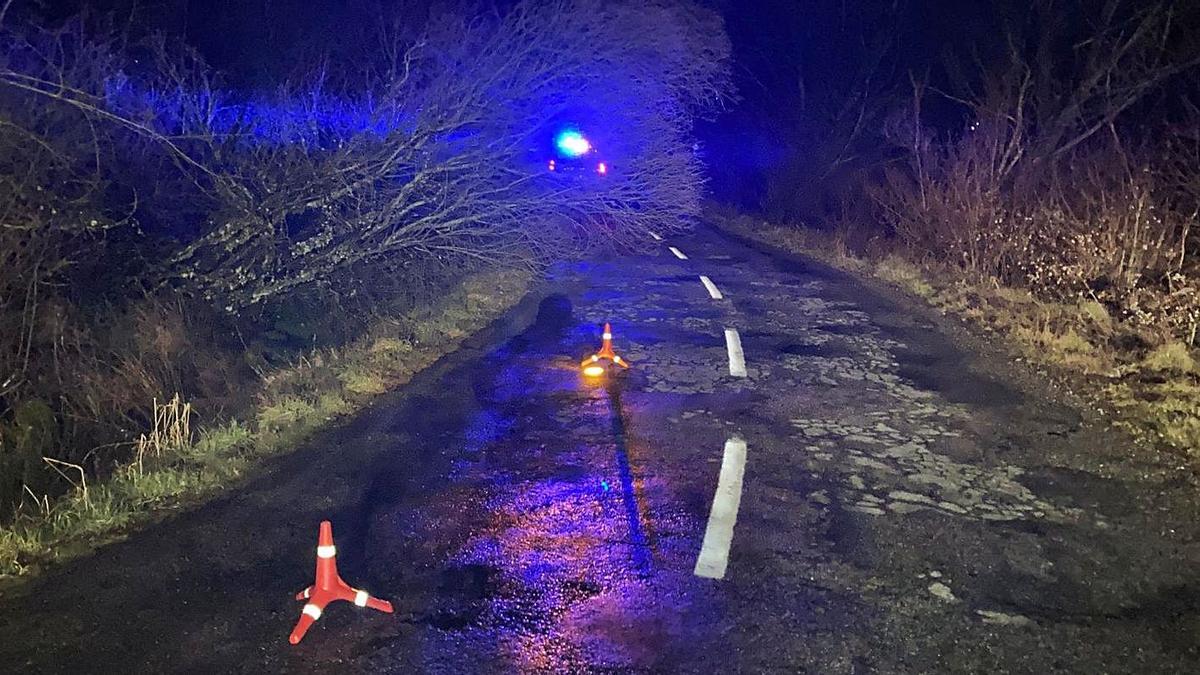 Un árbol caído dificulta el paso en la carretera de Cobreros