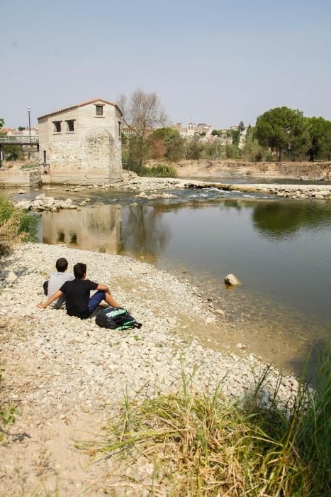 Sequía en Zamora: El Duero, bajo mínimos