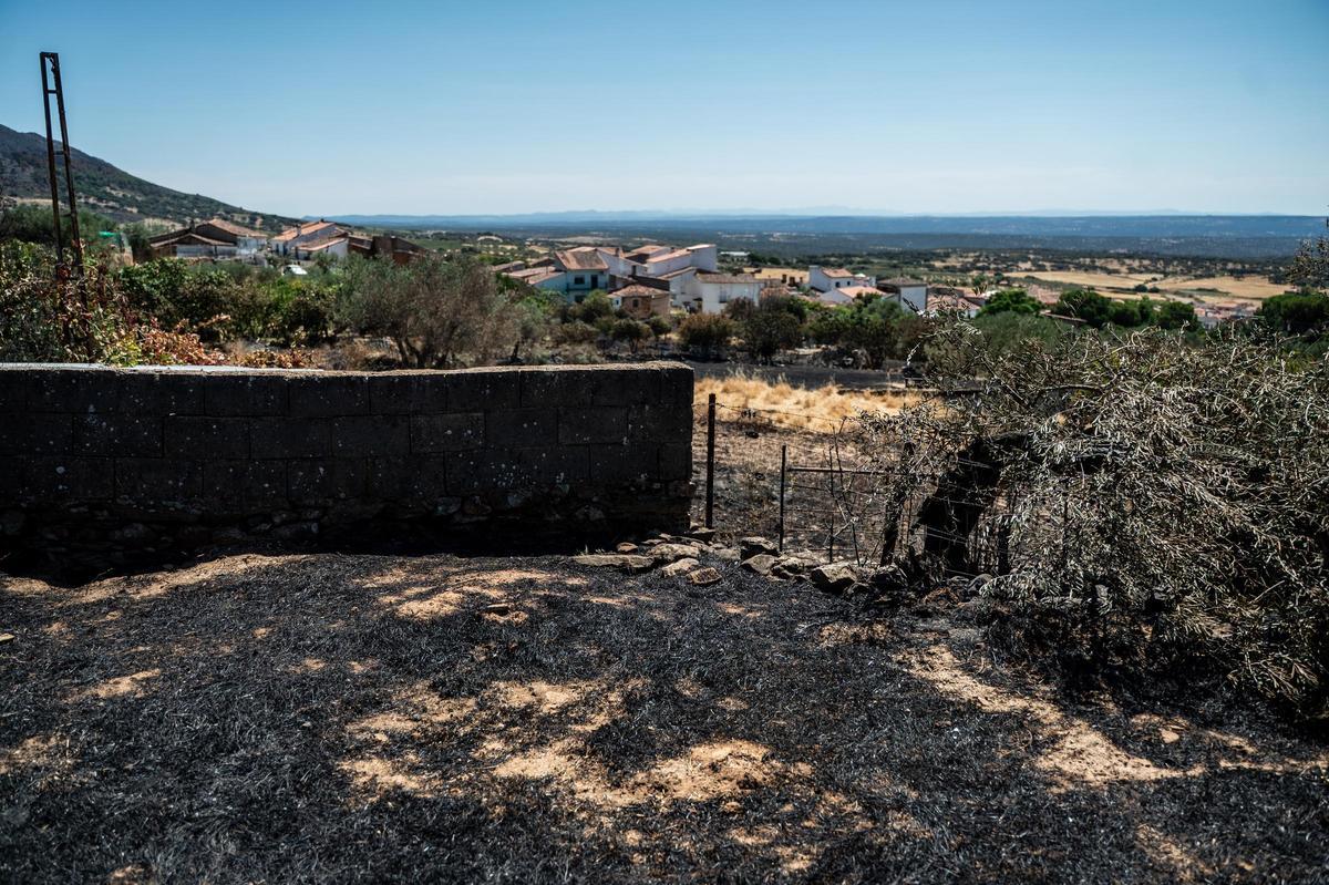 Fotogalería | Casas de Millán: un día después del incendio Fotogalería | Casas de Millán: un día después del incendio