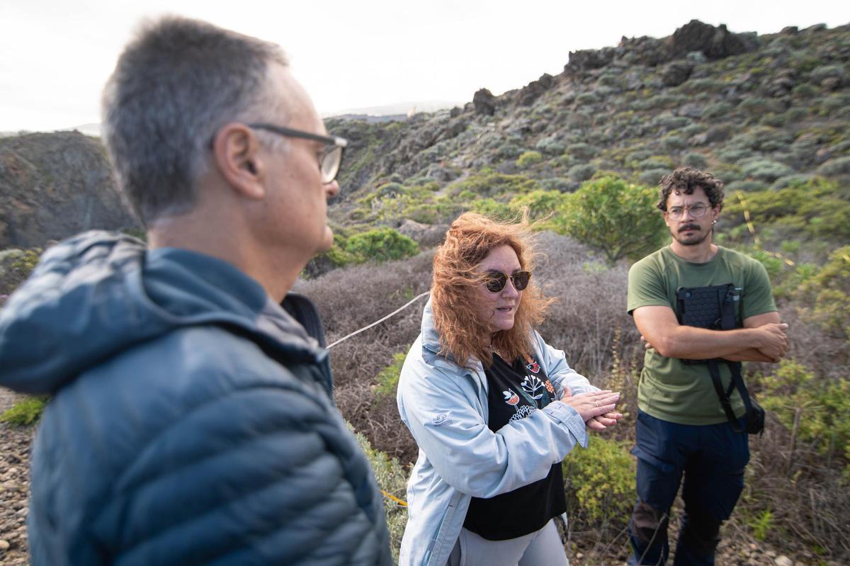 Manuel Arechavaleta y Sofía Rodríguez, del servicio de Biodiversidad del Gobierno de Canarias, junto al biólogo David Eiroa.