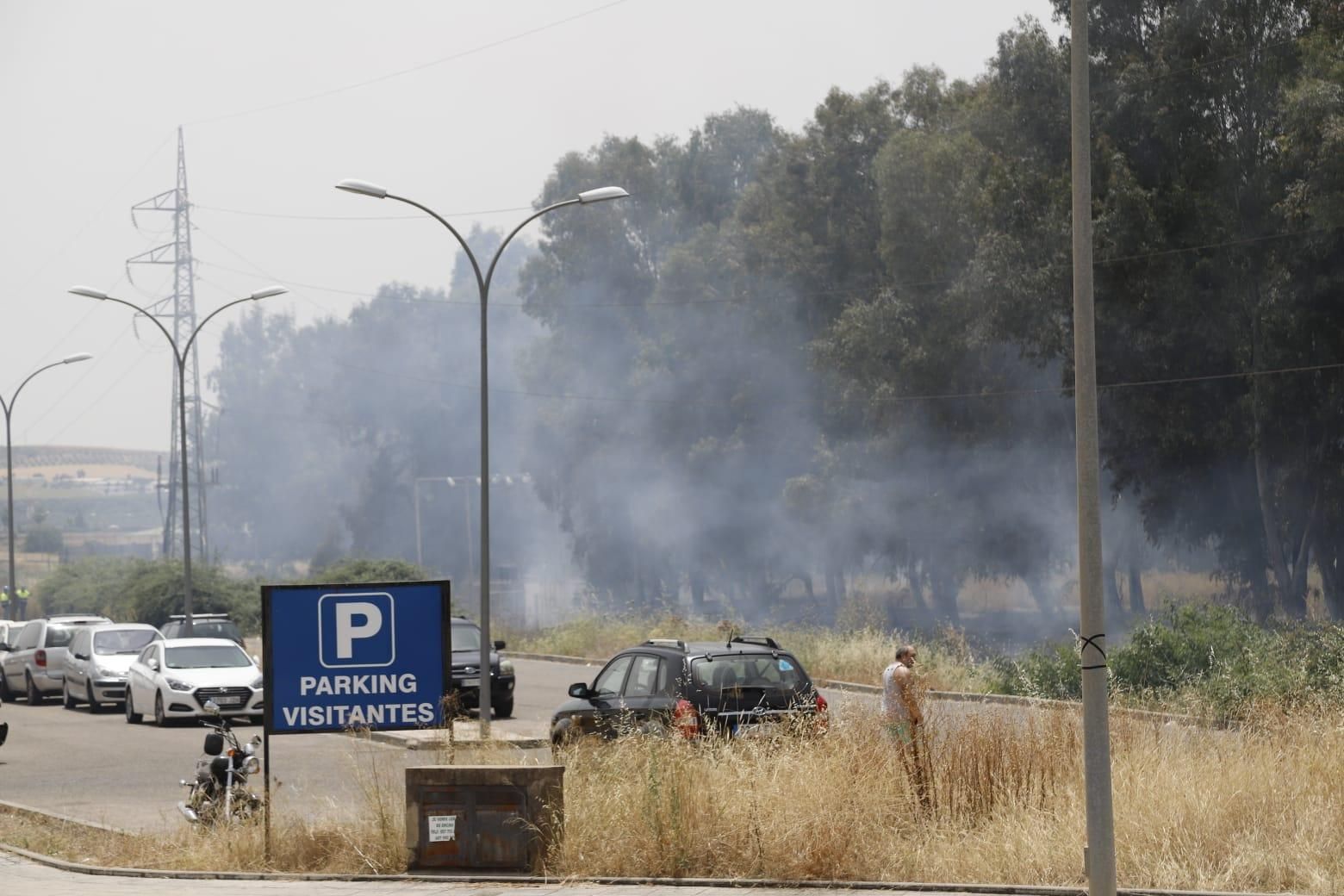 Un incendio de pastos junto al Parque Joyero moviliza a bomberos, Infoca y Policía Local