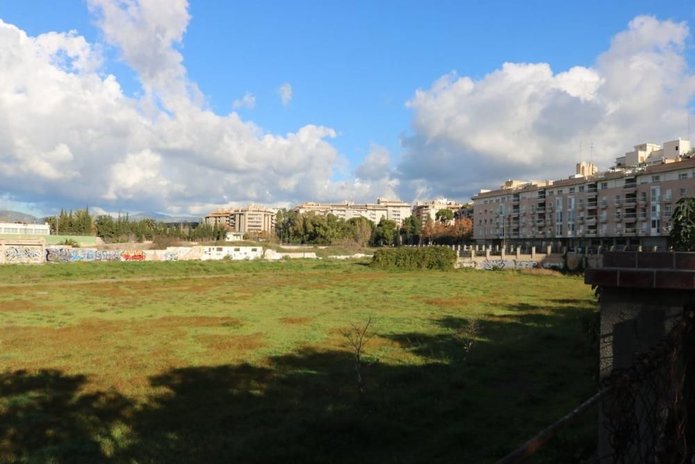 Un bosque urbano en los terrenos del canódromo