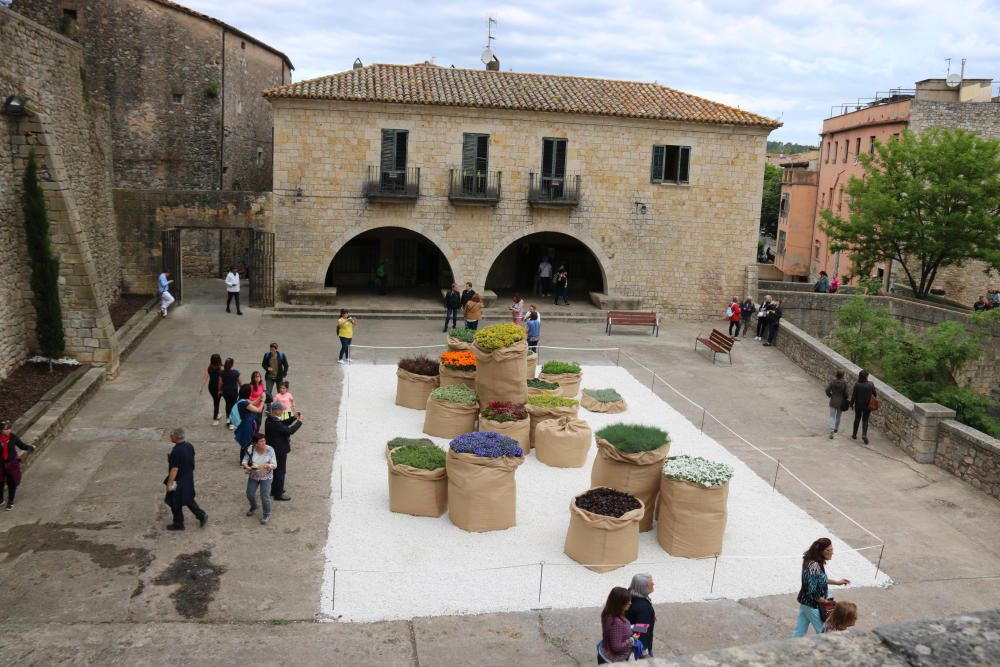 Girona, Temps de Flors 2019