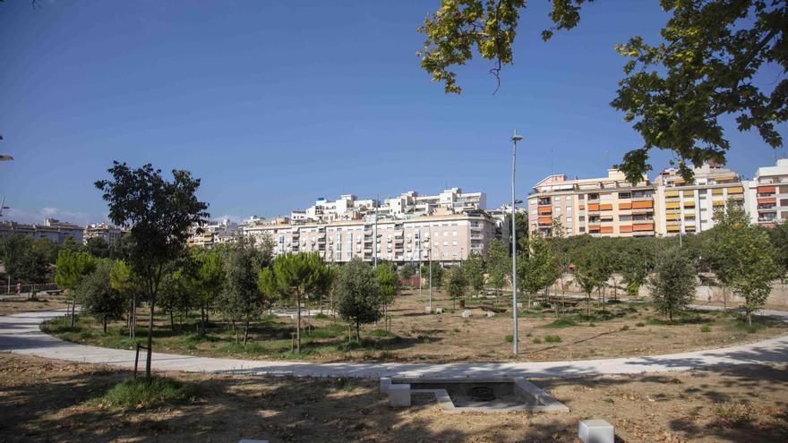 «Un hombre me dio un cabezazo porque le pedí que recogiera la caca de su perro», denuncia una vecina de Palma