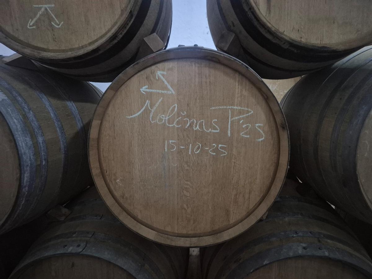 Algunas de las barricas que conforman el vino de Palo Blanco Las Molinas