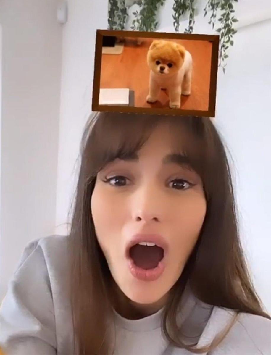 Parecido animal razonable de Sara Sálamo