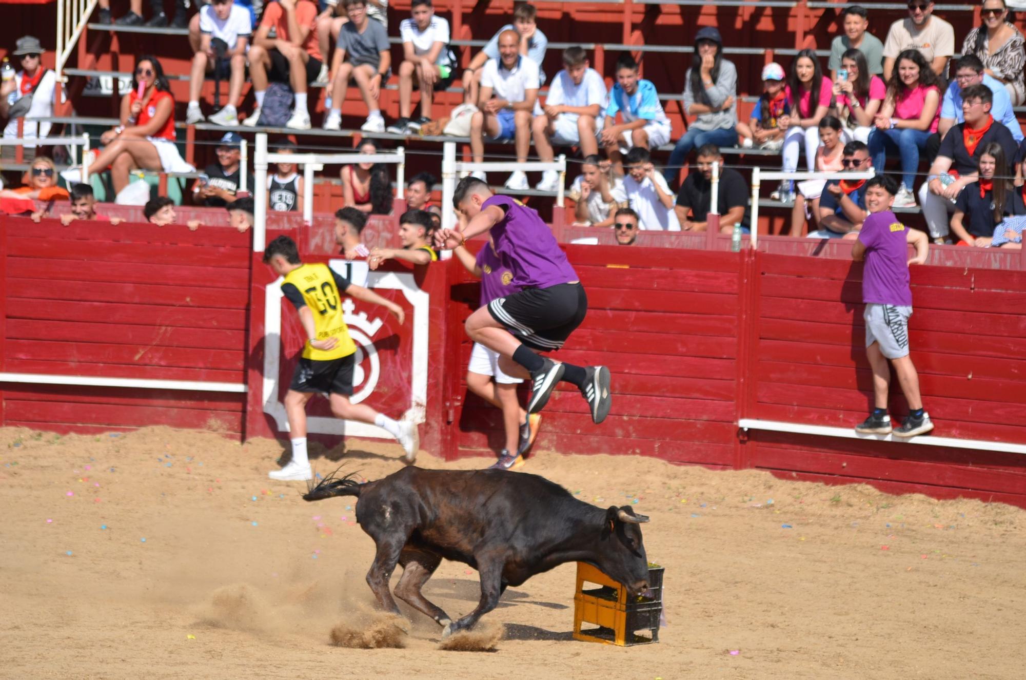 Fiestas del Toro en Benavente: Las mejores imágenes del "Juego de la NTE"