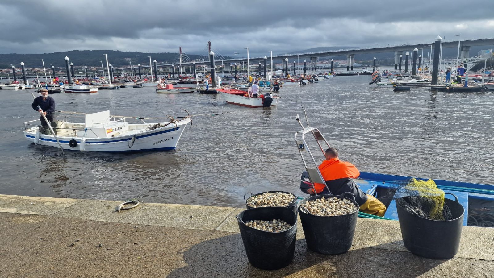 Así es el día a día en el puerto y la lonja de O Testal (Noia), donde cada vez se dan cita más mariscadores arousanos.