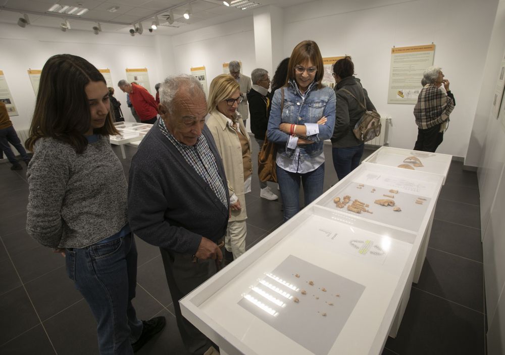 Una exposición recoge los últimos hallazgos arqueológicos de Canet d'En Berenguer