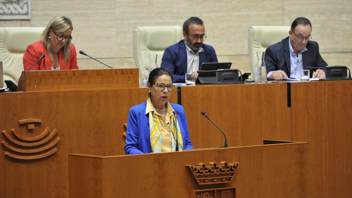 La consejera de Hacienda, Pilar Blanco-Morales, esta mañana en el pleno de la Asamblea.