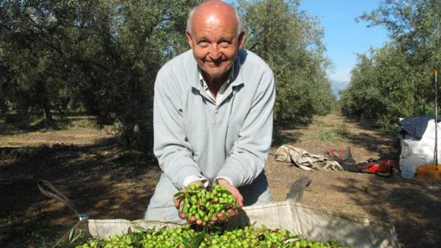 Mariano Planas, propietario de Olis de Jornets.