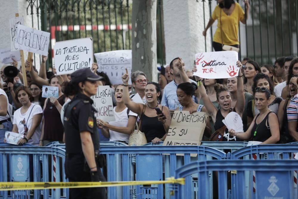 Protest und Jubel - so lief der Stierkampf auf Mallorca ab