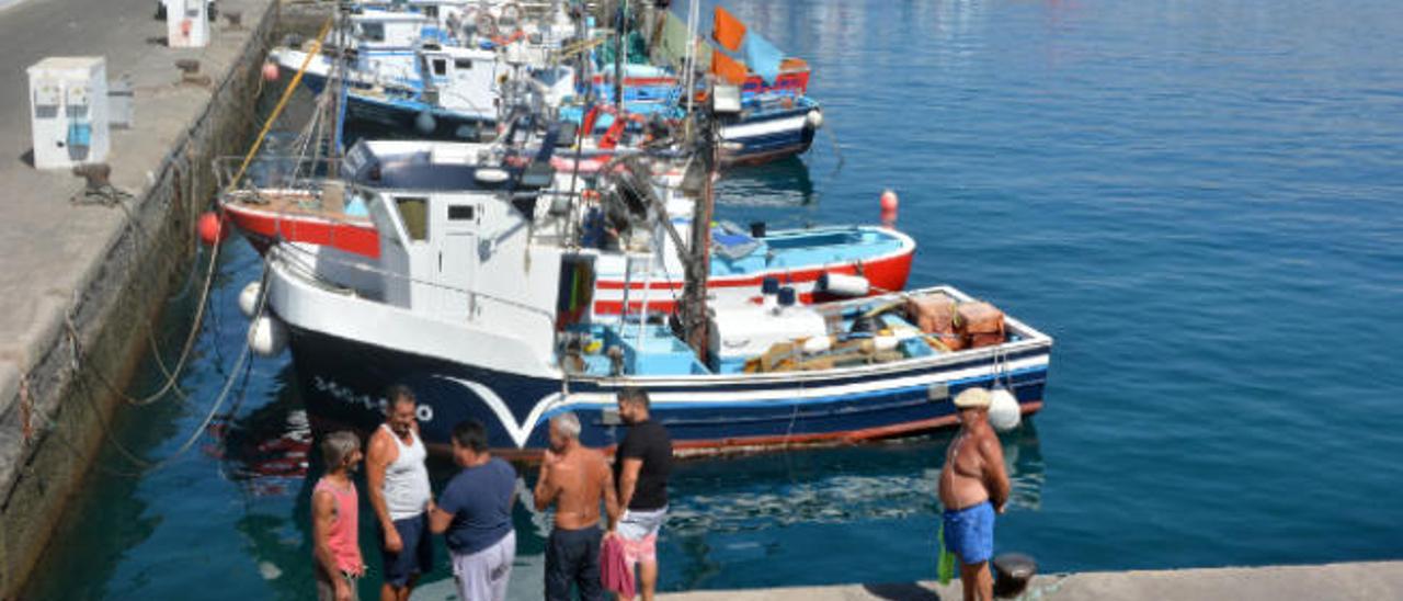 Canarias exige la cuota de atún blanco sin consumir tras el cierre de la campaña