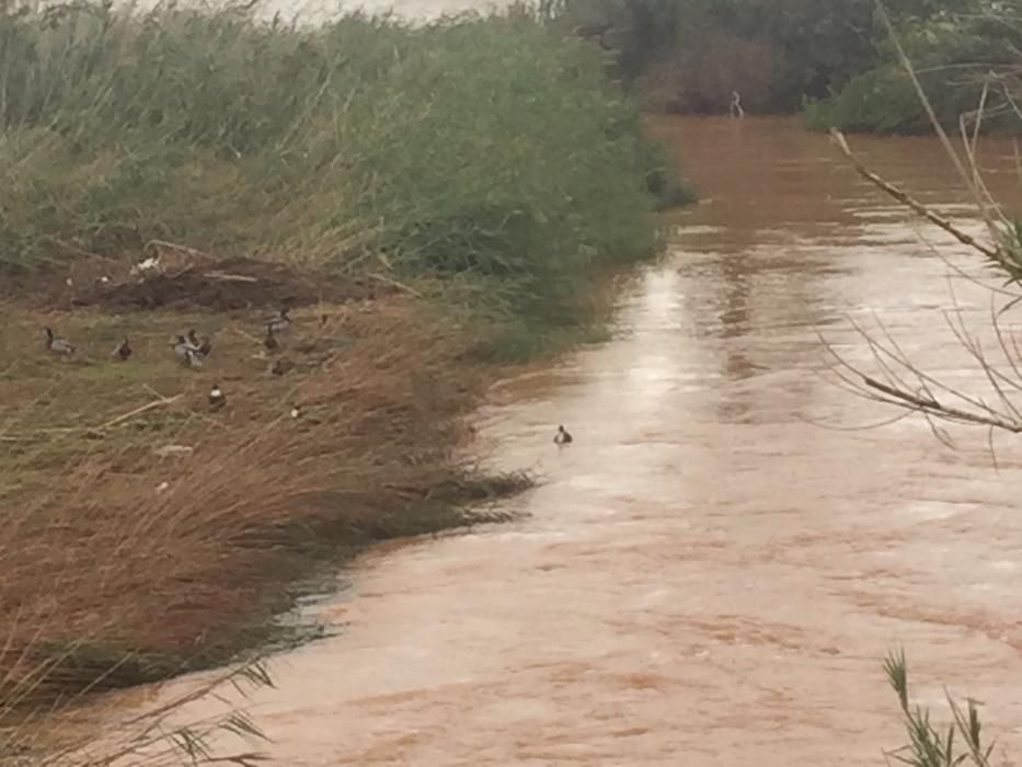 Lluvia en Benicarló