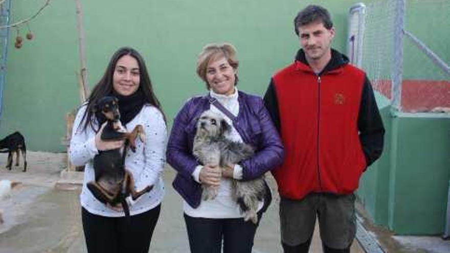 Voluntarios de Arca del Torcal con algunos de los animales que se encuentran en la perrera.