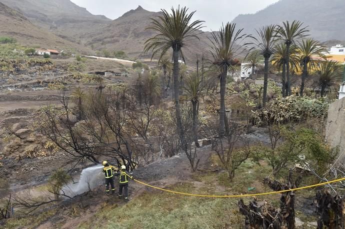 24-02-2020 MOGÁN. Afectados por el incendio,  en La Aldea y Tasarte. Fotógrafo: ANDRES CRUZ  | 24/02/2020 | Fotógrafo: Andrés Cruz