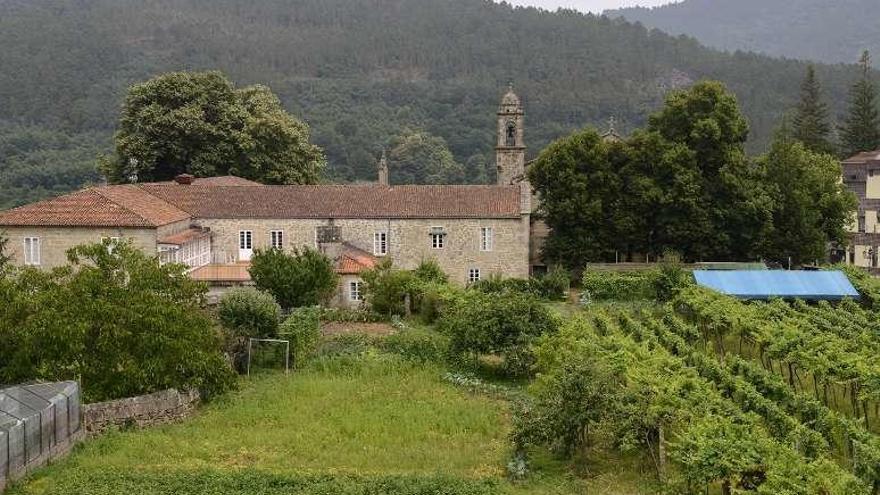 Vista de la comarca vinícola de O Ribeiro. // Jesús Regal