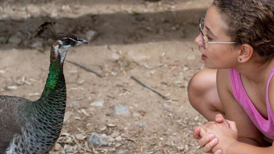 In diesen Tierparks auf Mallorca können Sie auch im Winter Tieren nahe kommen