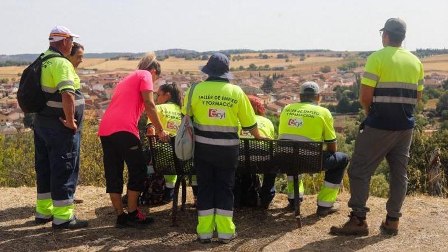 "Apenas se veía, era todo selva": la ardua tarea para reconvertir en una ruta de senderismo los bancales abandonados de un pueblo de Zamora