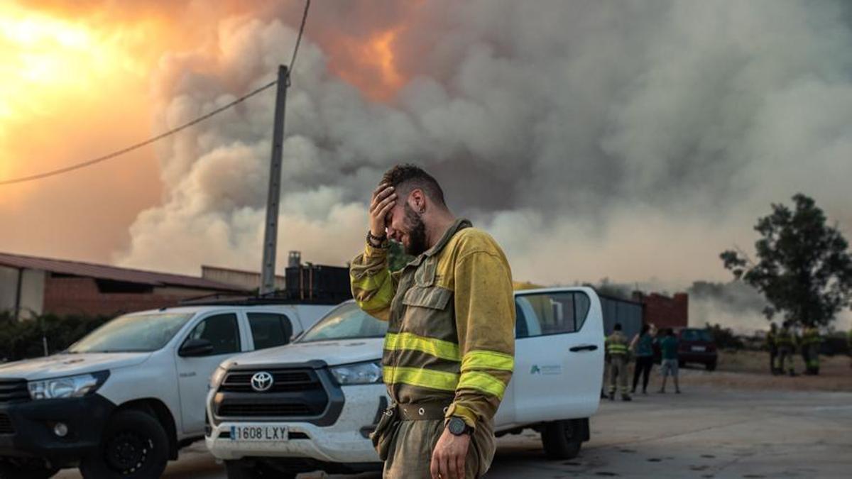 GALERÍA | El feroz incendio de Losacio, en imágenes.