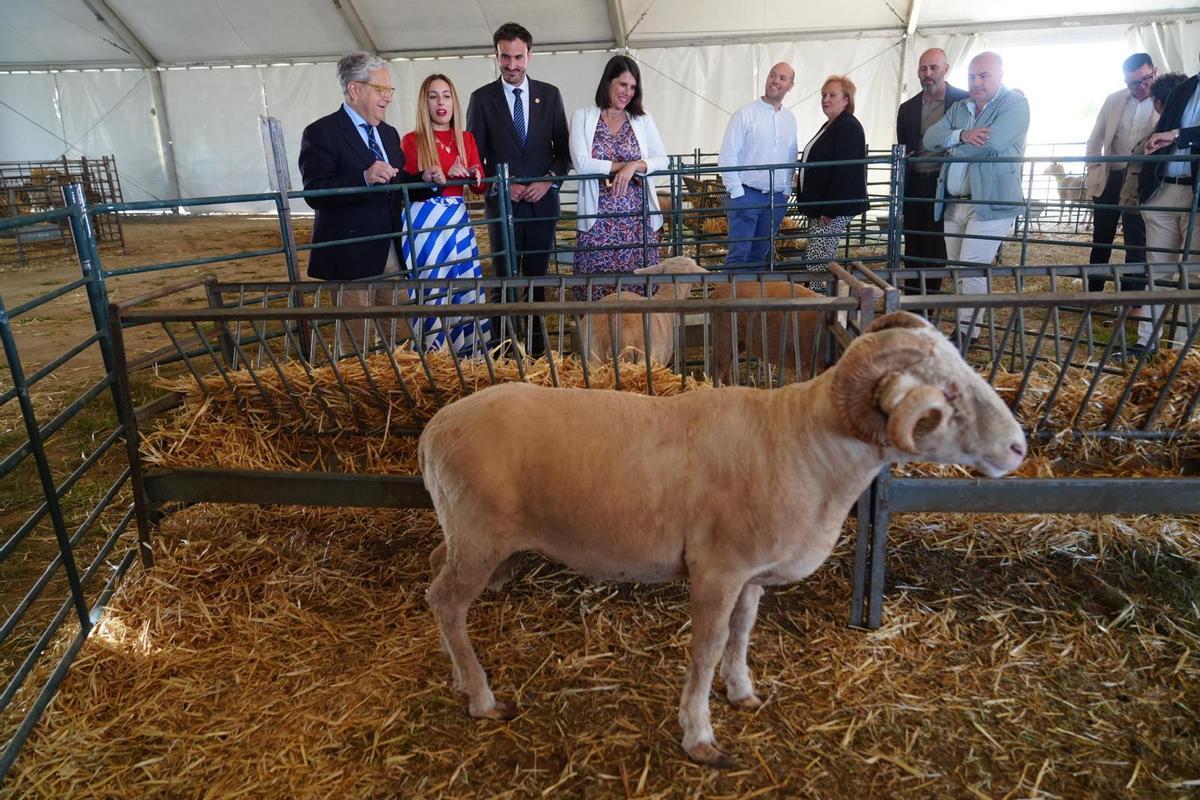 La Feria del Pastoreo de Villaralto, en imágenes